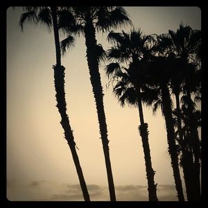 AFTER DECEMBER 5 ALL CLOTHING IS GOING TO CHARITY!